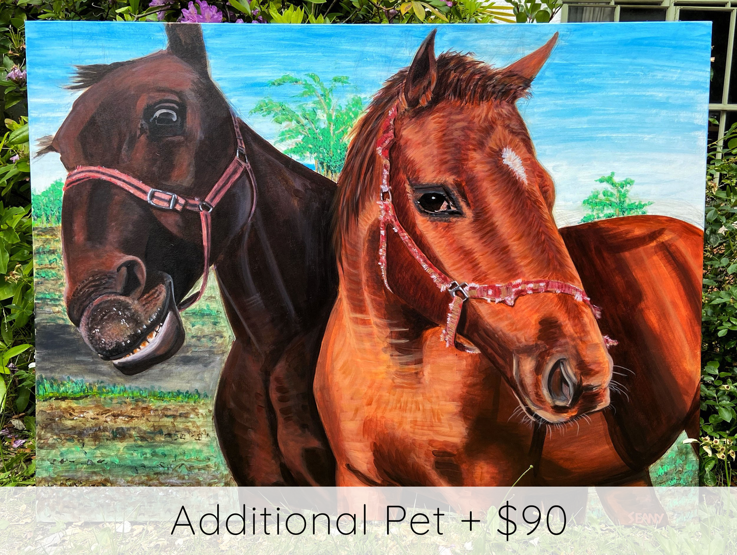 Order A Pet Portrait